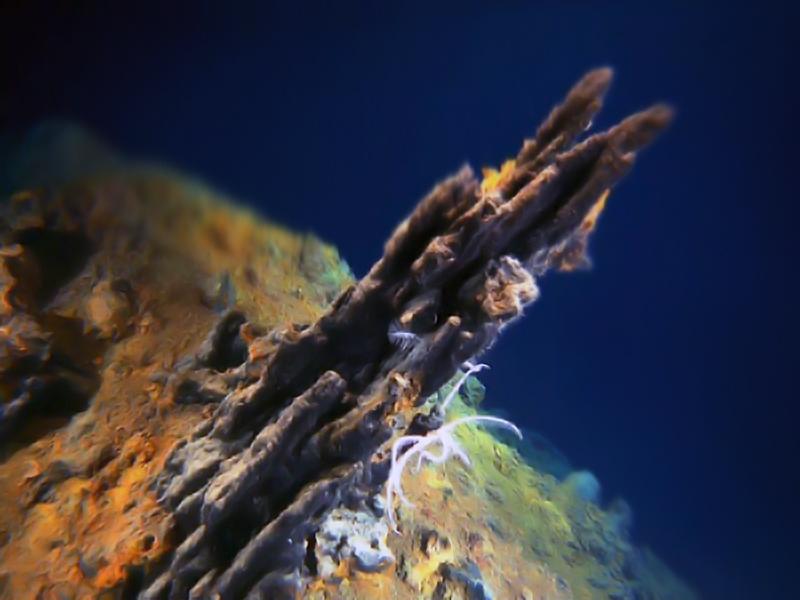 Вулканы в морских глубинах (vulkany-v-morskih-glubinah) Документальный фильм