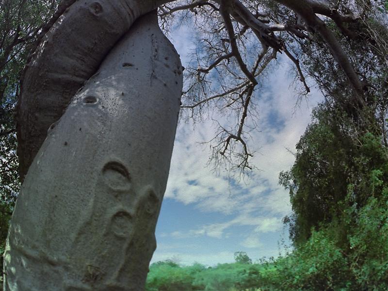 Самые чудесные места (samye-chudesnye-mesta) Документальный фильм