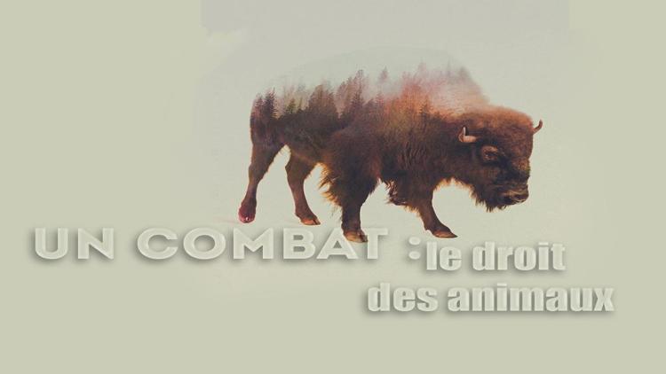 Постер Un combat : le droit des animaux