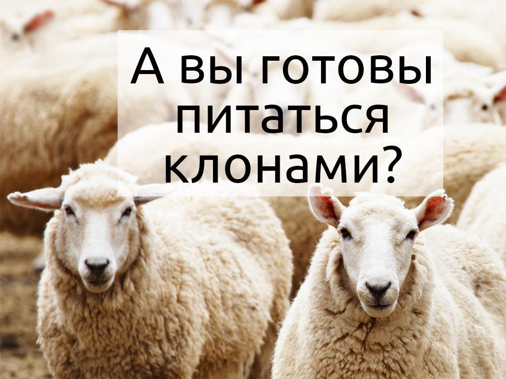 А вы готовы питаться клонами? (a-vy-gotovy-pitatsja-klonami) Познавательное