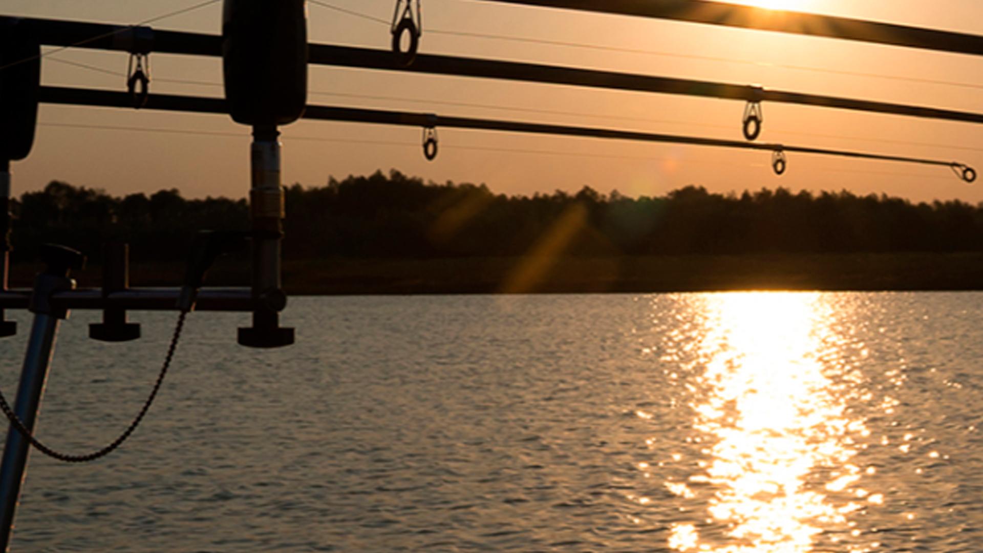Carpfishing en el jarrama (carpfishing-en-el-jarrama) Досуг, хобби