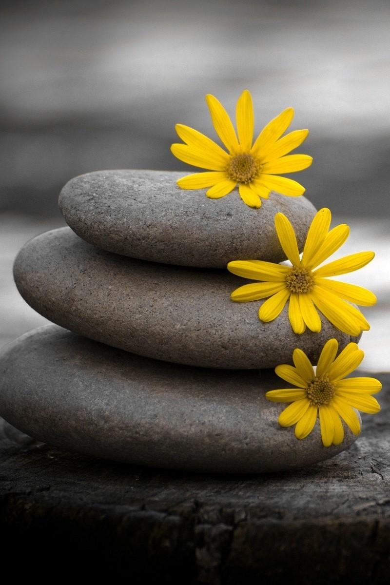Meditare il Mediterraneo (meditare-il-mediterraneo) Познавательное