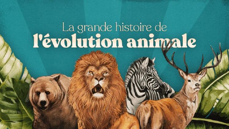 Постер La grande histoire de l'évolution animale