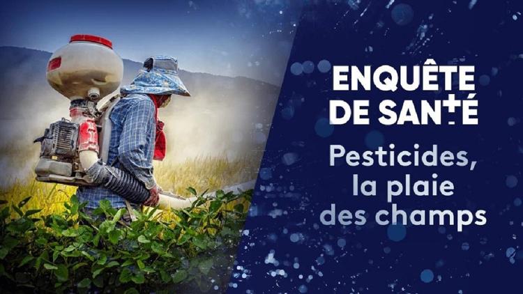 Постер Pesticides, la plaie des champs