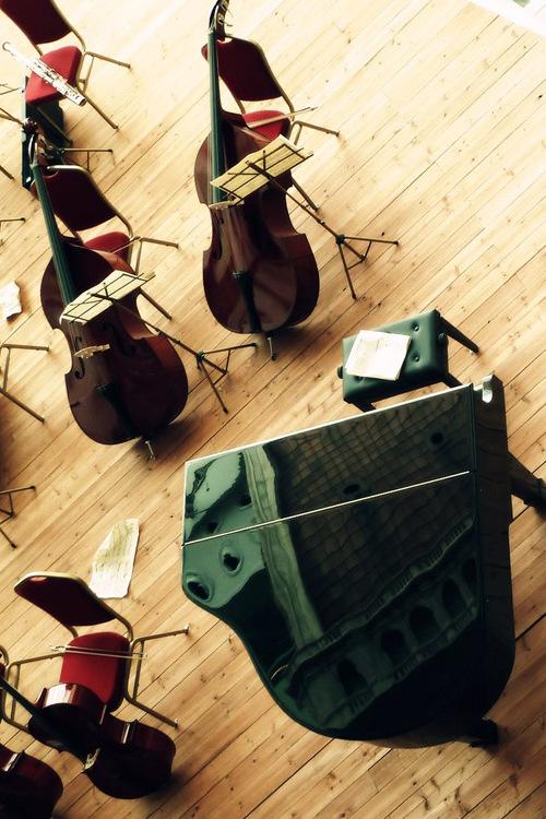 Youth Orchestra (youth-orchestra) Музыка