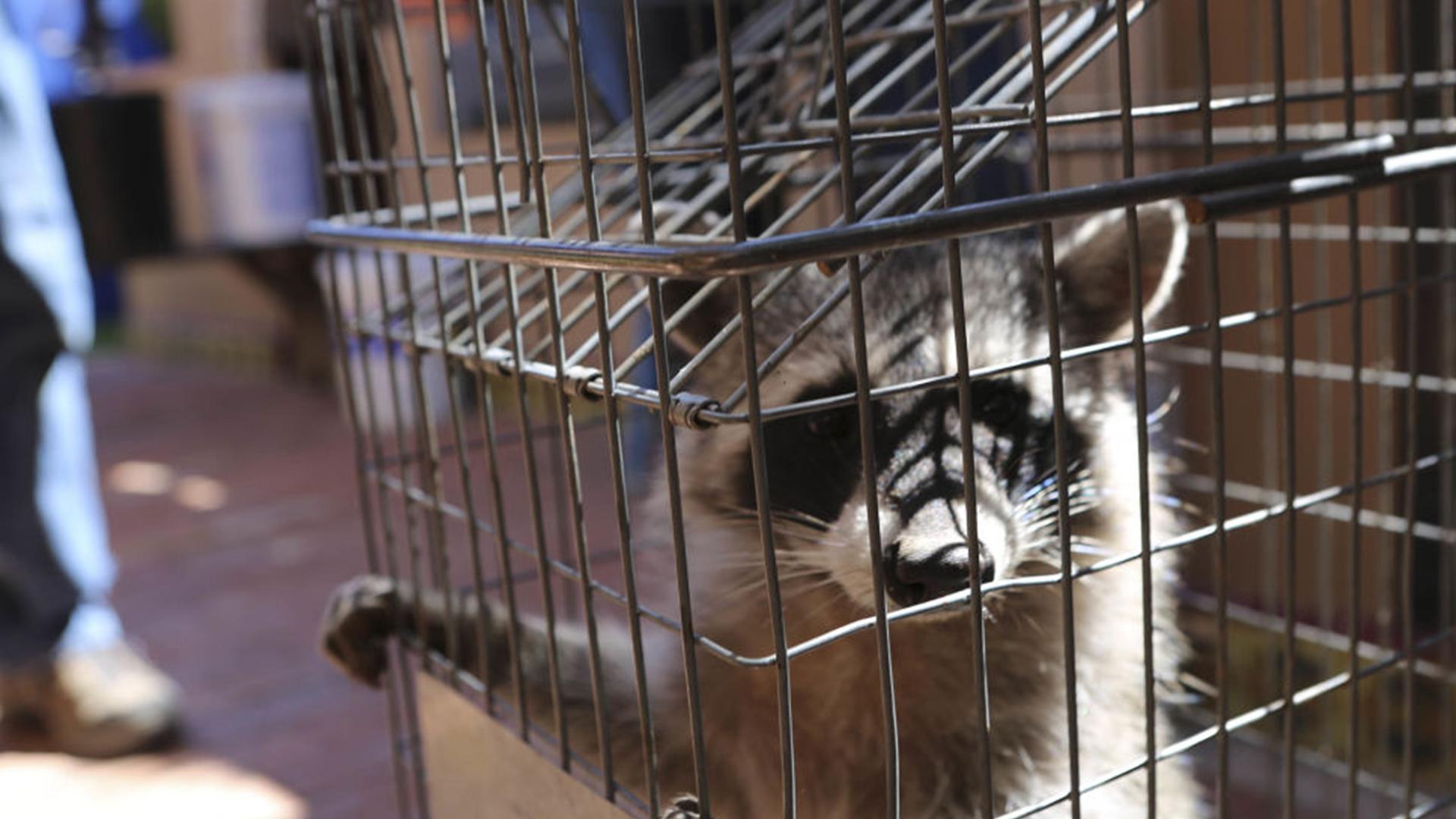 Зов природы (zov-prirody) Документальный сериал