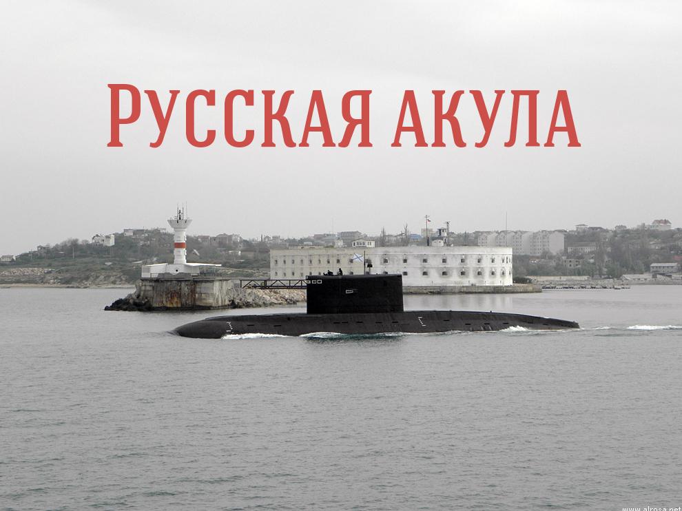 Русская акула (russkaja-akula) Документальный фильм
