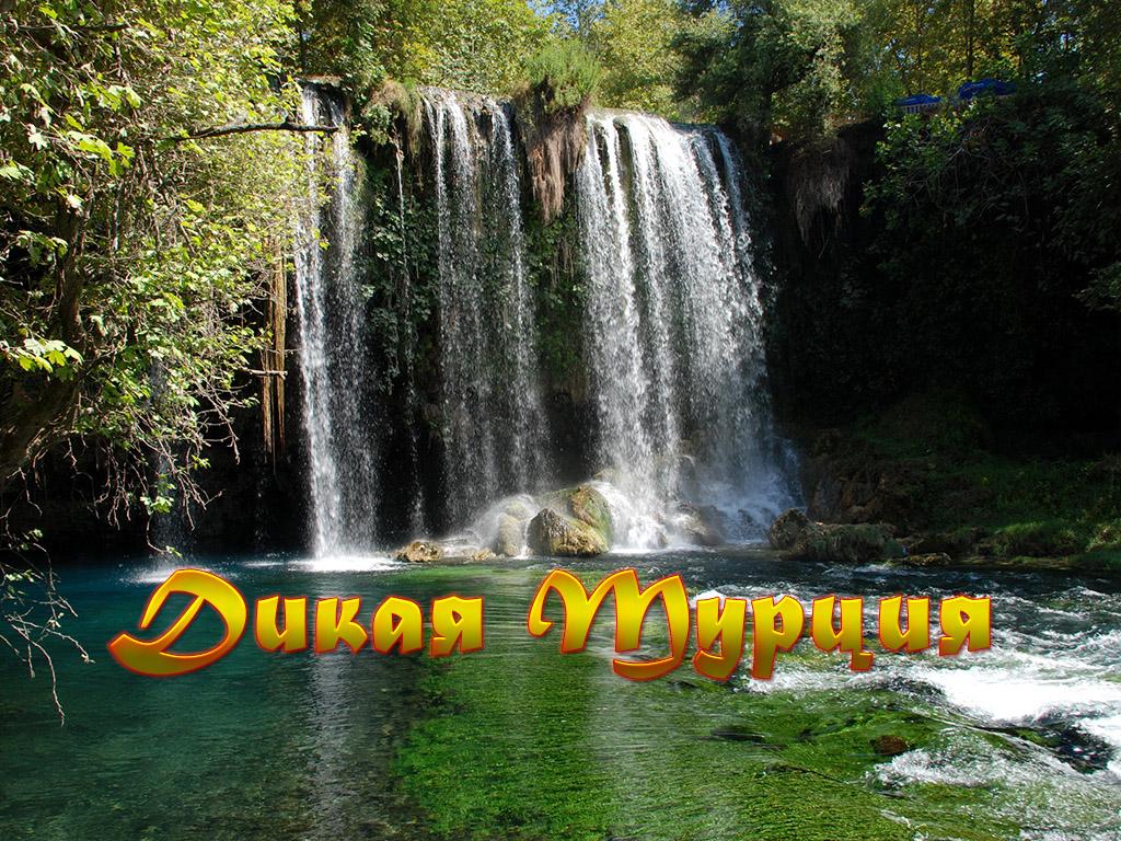 Дикая Турция (dikaja-turtsija) Документальный фильм