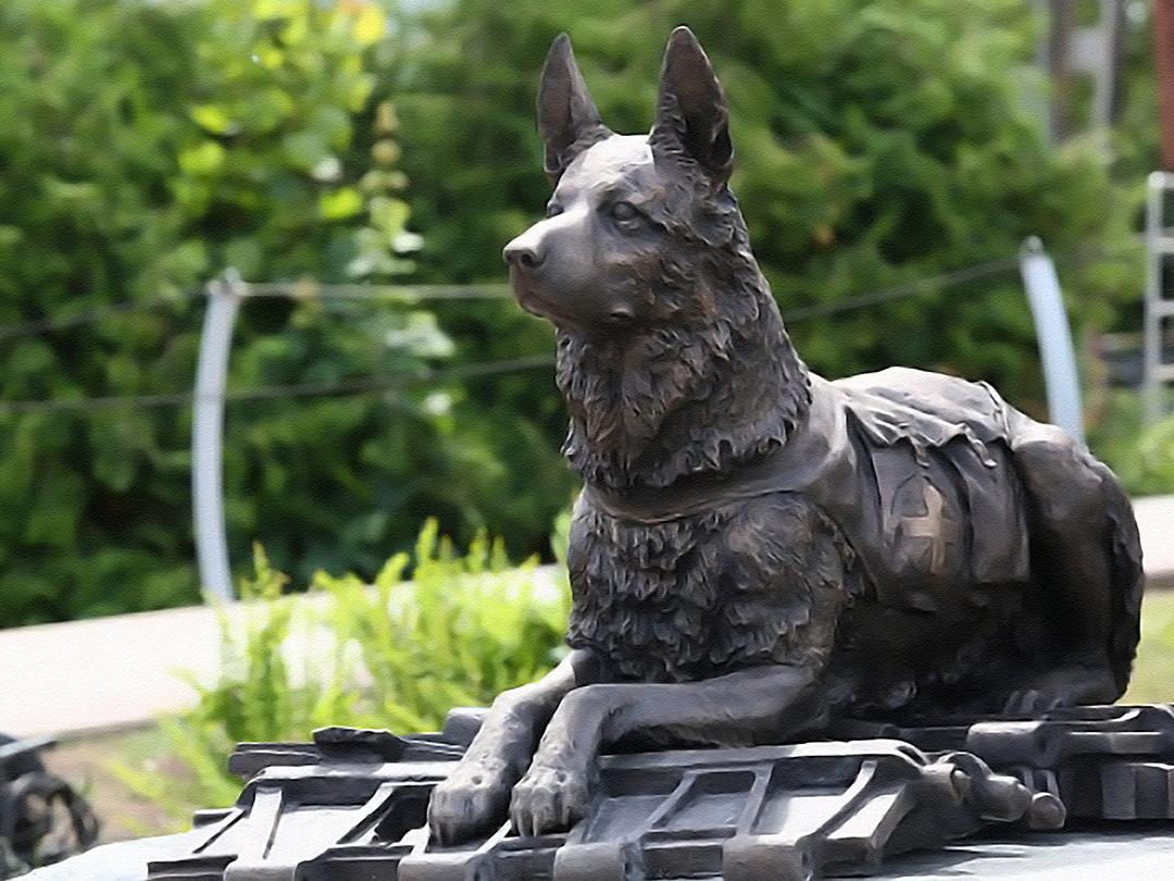 Солдаты наши меньшие (soldaty-nashi-menshie) Документальный фильм