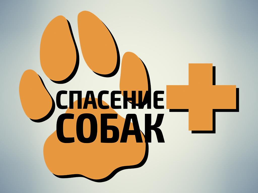 Спасение собак (spasenie-sobak) Документальный сериал
