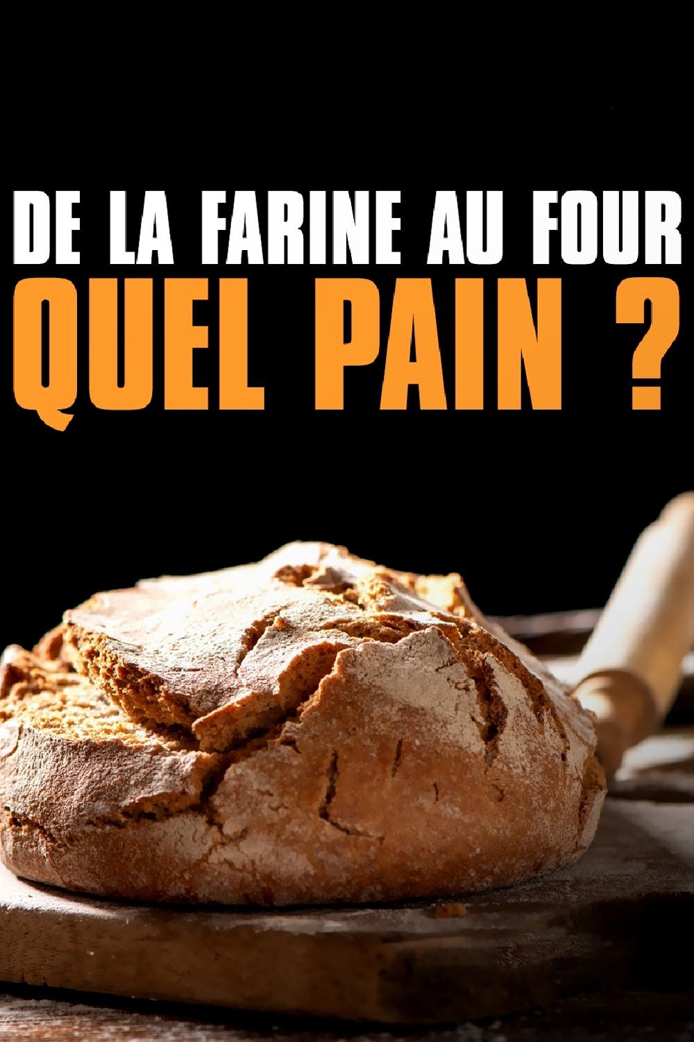 De la farine au four, quel pain ? (de-la-farine-au-four-quel-pain) Познавательное