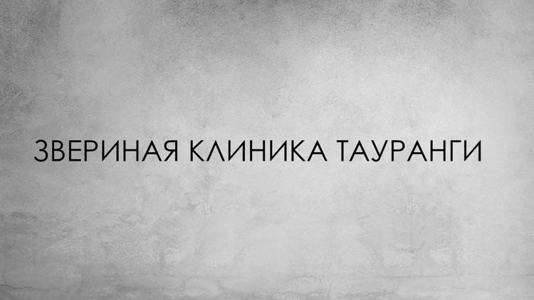 Постер Звериная клиника Тауранги