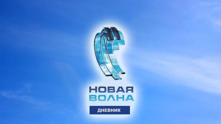 Постер Дневник новой волны