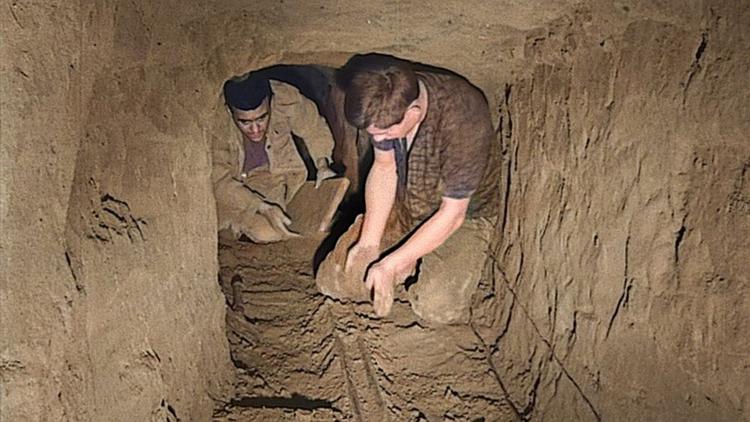 Постер Berlin: Le tunnel de la liberté