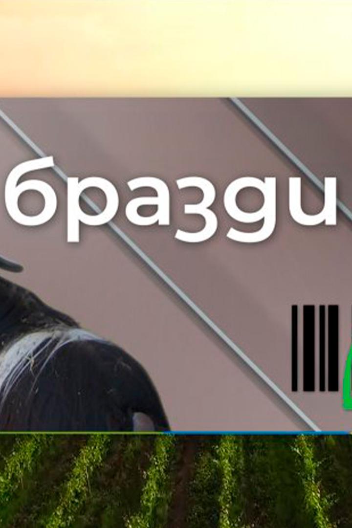 Бразди (brazdi) Досуг, хобби