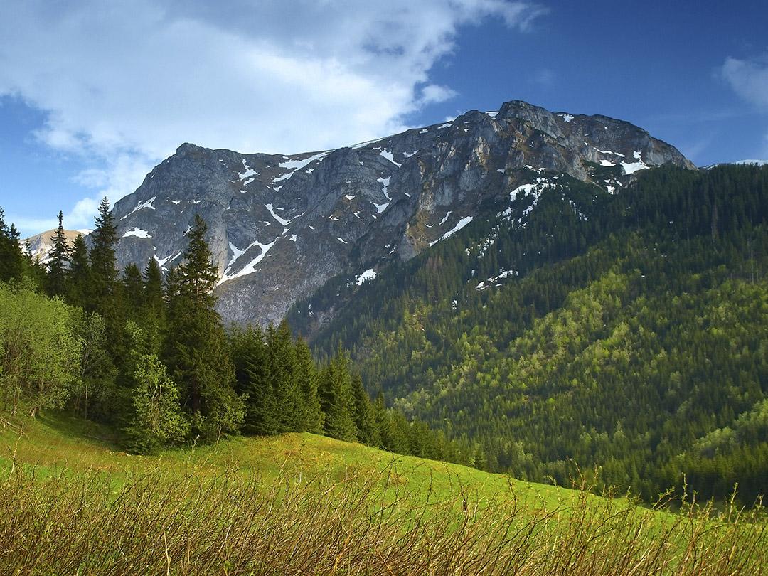 Дикие Карпаты (dikie-karpaty) Документальный сериал