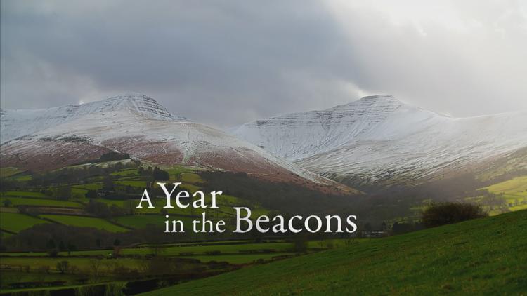 Постер A Year in the Beacons