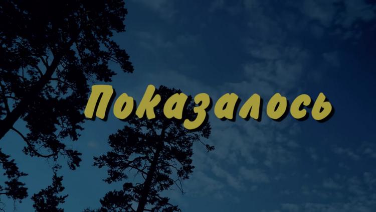 Постер Показалось