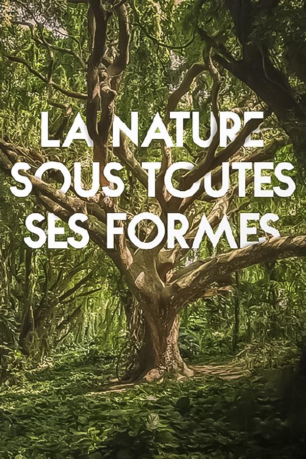 La nature sous toutes ses formes (la-nature-sous-toutes-ses-formes) Документальный фильм