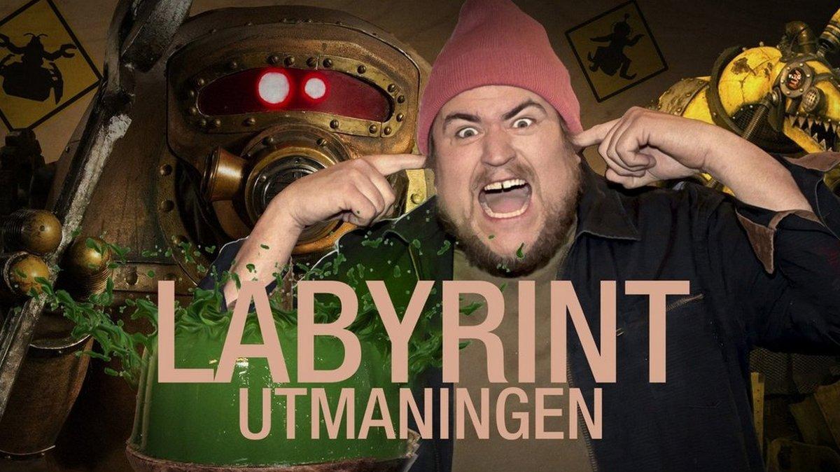 Labyrint: Utmaningen (labyrint-utmaningen) Игровые