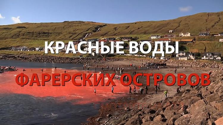 Постер Красные воды Фарерских островов