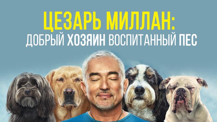 Постер Цезарь Миллан: Добрый хозяин, Воспитанный пес