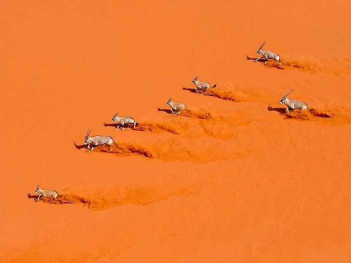 Краски пустыни (kraski-pustyni) Документальный сериал