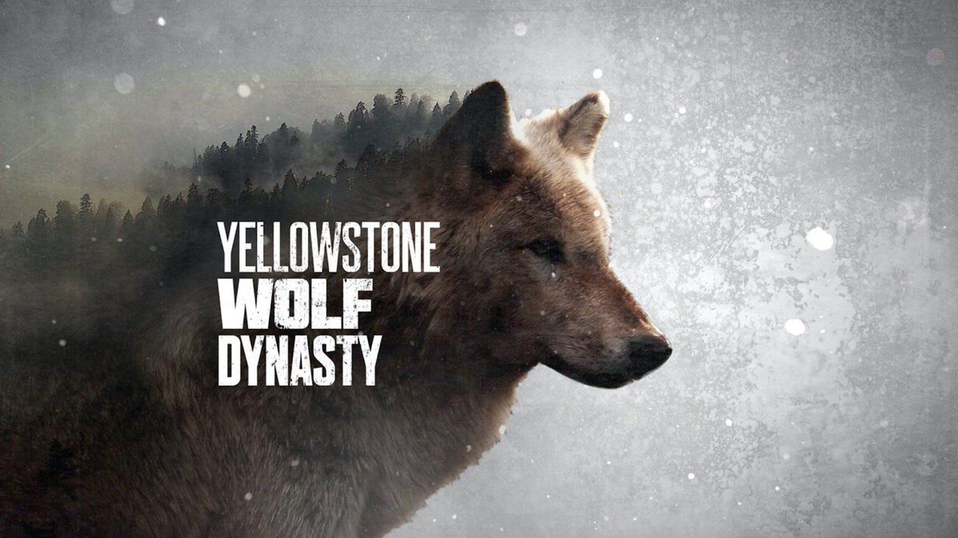 Волчья династия Йеллоустоуна (volchja-dinastija-jelloustouna) Документальный сериал