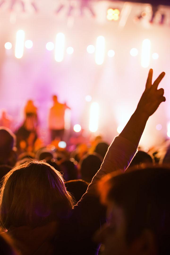 Get The Party Started! (get-the-party-started) Музыка
