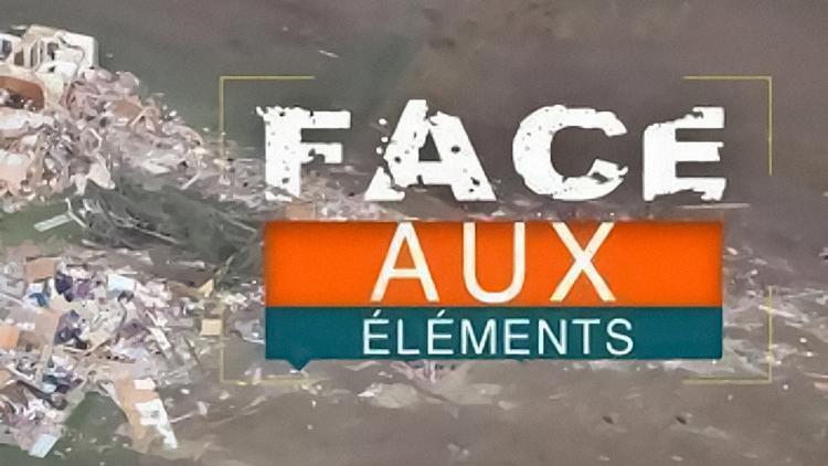 Постер Face aux éléments