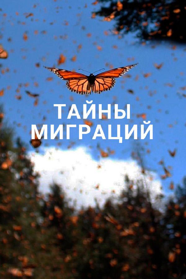 Тайны миграции (tajny-migratsii) Документальный сериал