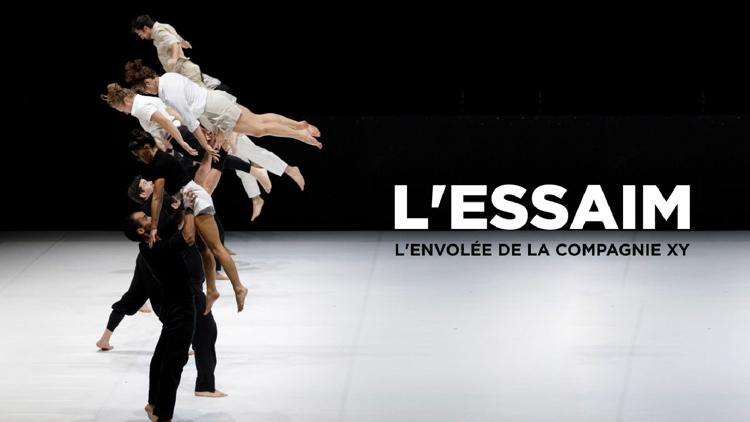 Постер L'essaim : L'envolée de la compagnie XY