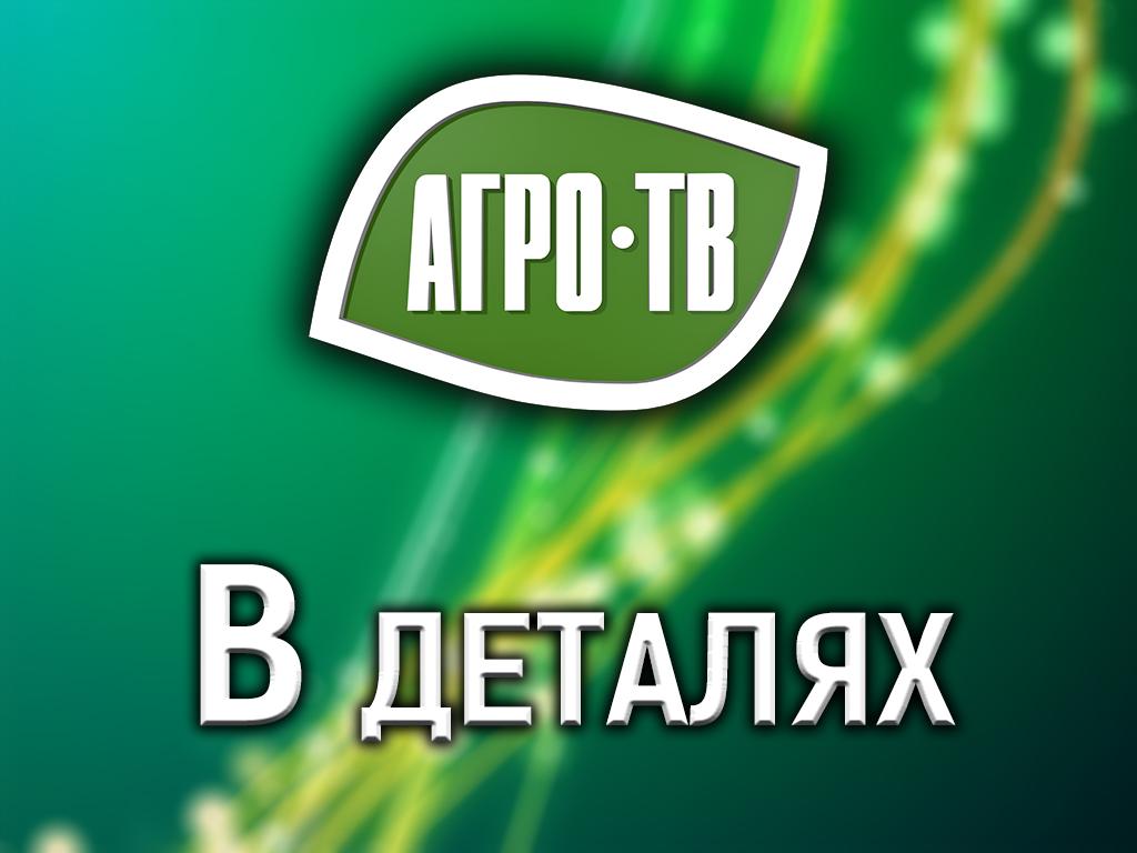 В деталях (v-detaljah) Ток-шоу