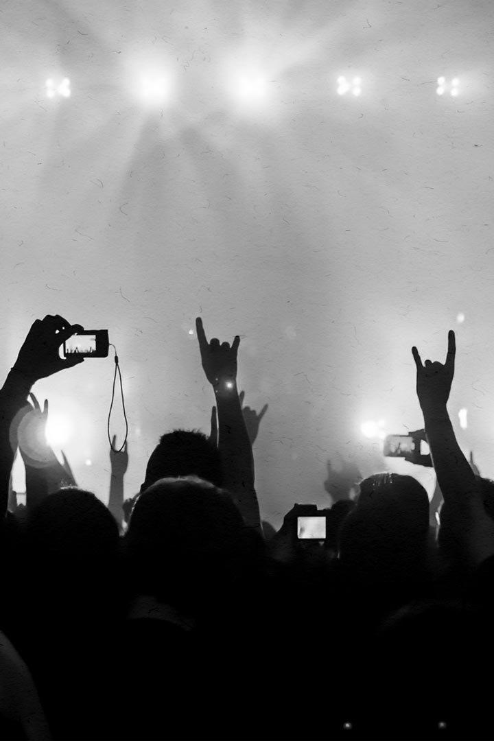 Rock TV (rock-tv) Другое