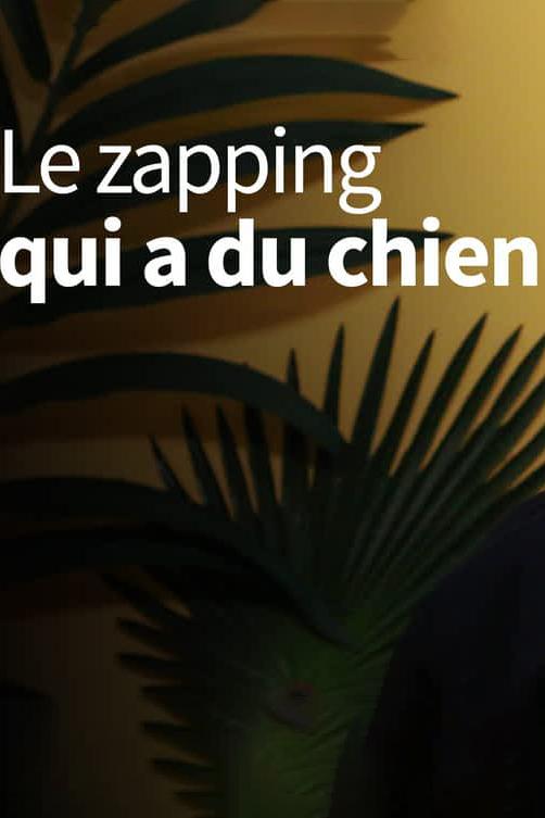Le zapping qui a du chien (le-zapping-qui-a-du-chien) Документальный сериал