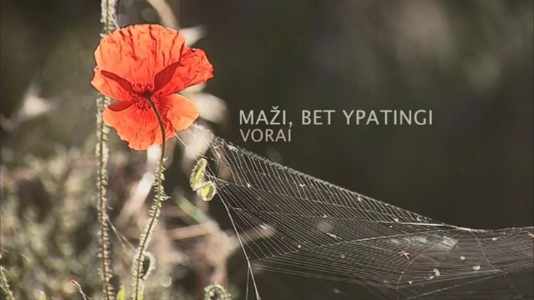 Постер Maži, bet ypatingi: vorai