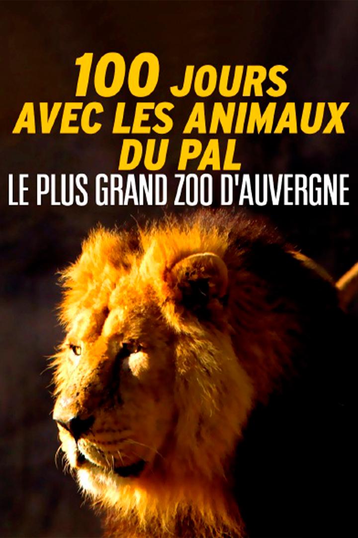100 jours avec les animaux du Pal, le plus grand zoo d'Auvergne (100-jours-avec-les-animaux-du-pal-le-plus-grand-zoo-dauvergne) Документальный фильм