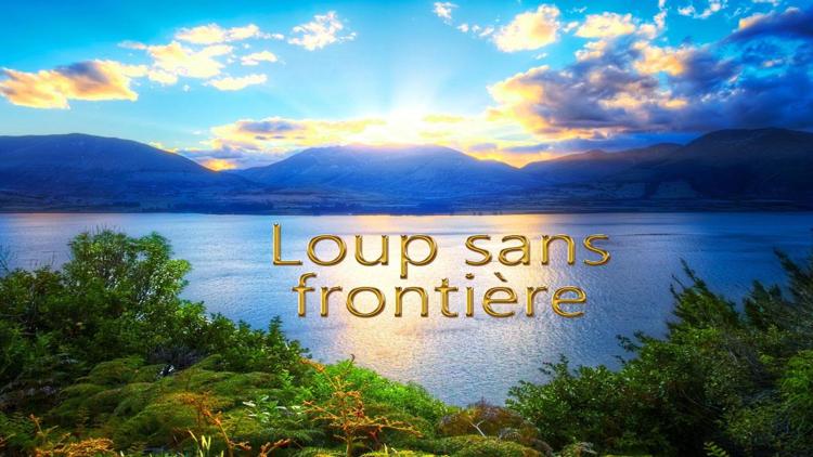 Постер Loup sans frontière