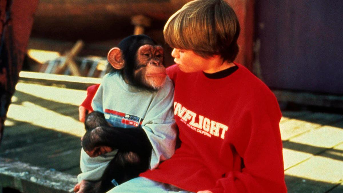 Король скейтборда (korol-skejtborda) Фильм 2001