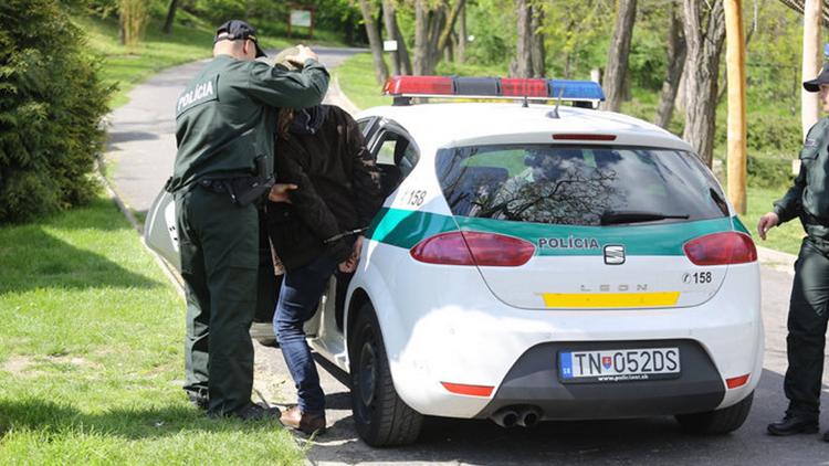 Постер Policajné prípady