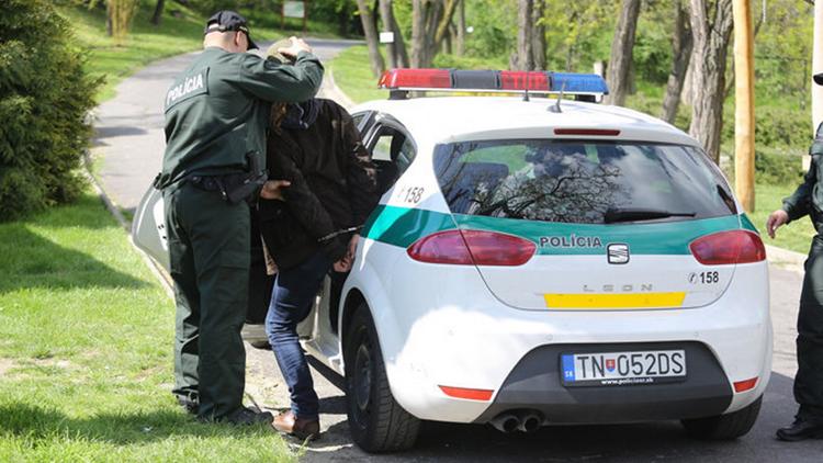 Постер Policajné prípady