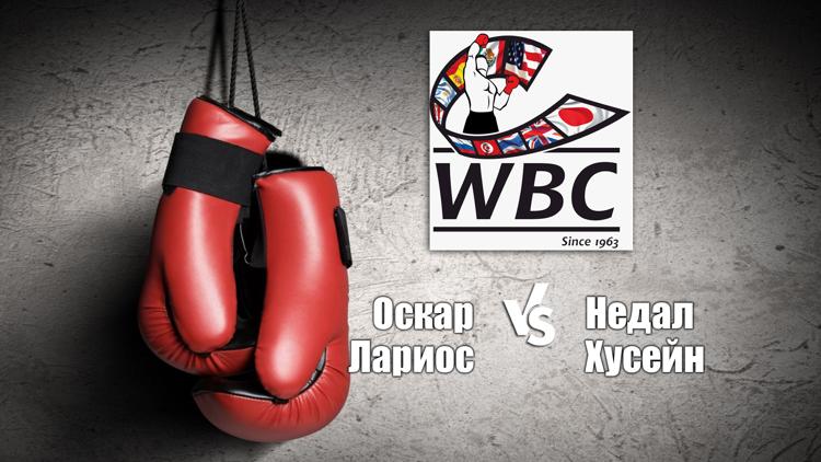 Постер Бой за вакантный титул WBC в лёгком весе. Флойд Мейвезер - Хосе Луис Кастильо