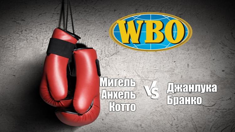 Постер Бокс. Бой за титул WBO в 1-м полусреднем весе. Мигель Анхель Котто — Джанлука Бранко