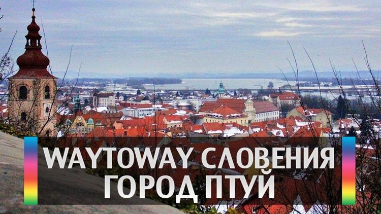 Постер WaytoWay Словения город Птуй