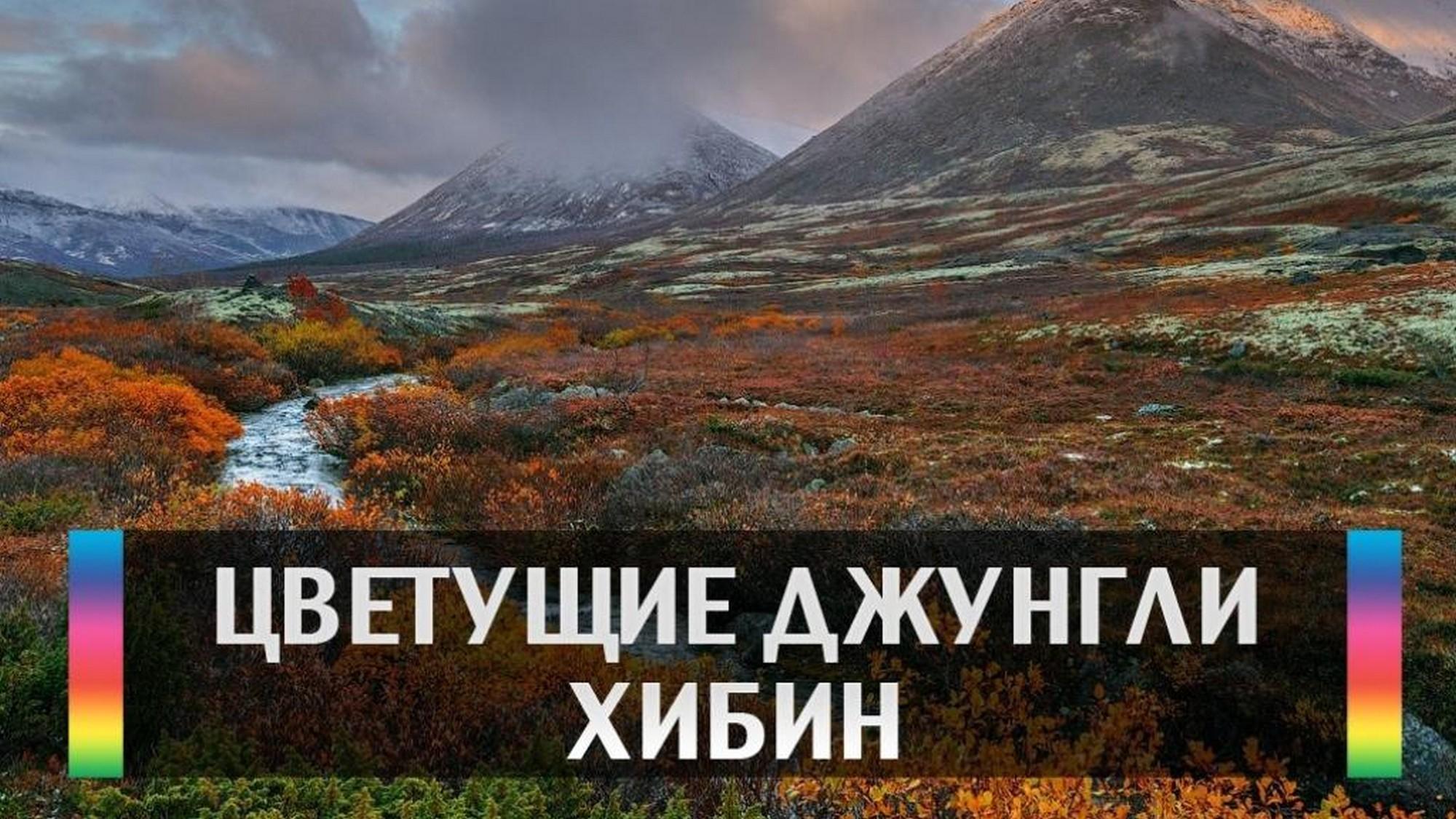 Цветущие джунгли Хибин (tsvetuschie-dzhungli-hibin) Досуг, хобби