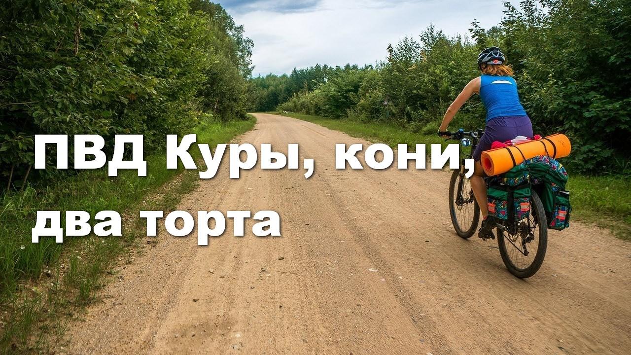 ПВД Куры, кони, два торта (pvd-kury-koni-dva-torta) Досуг, хобби