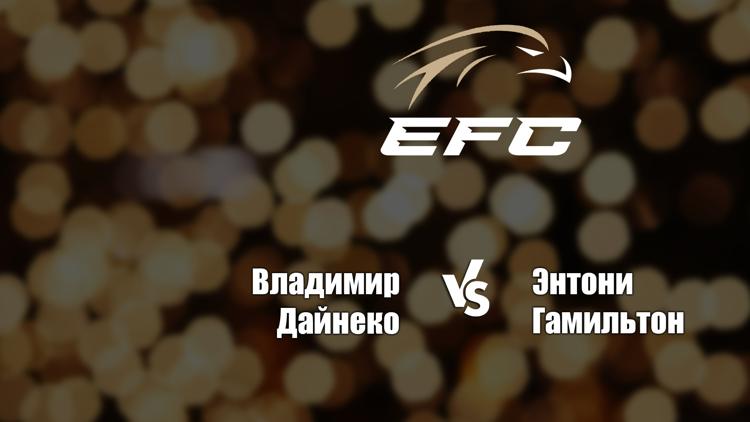 Постер Смешанные единоборства. Eagle FC 40. Владимир Дайнеко против Энтони Гамильтона