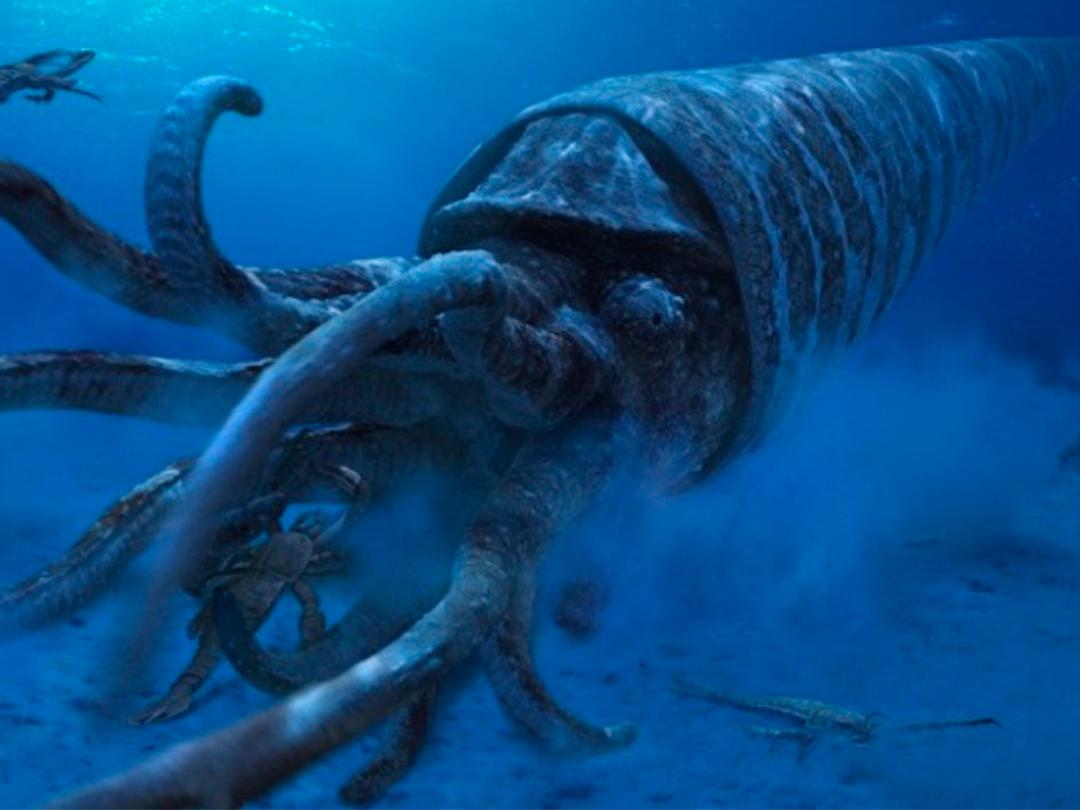 Прогулки с морскими чудовищами (progulki-s-morskimi-chudovischami) Документальный сериал