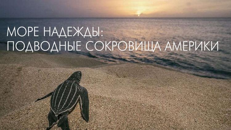 Постер Море надежды: подводные сокровища Америки