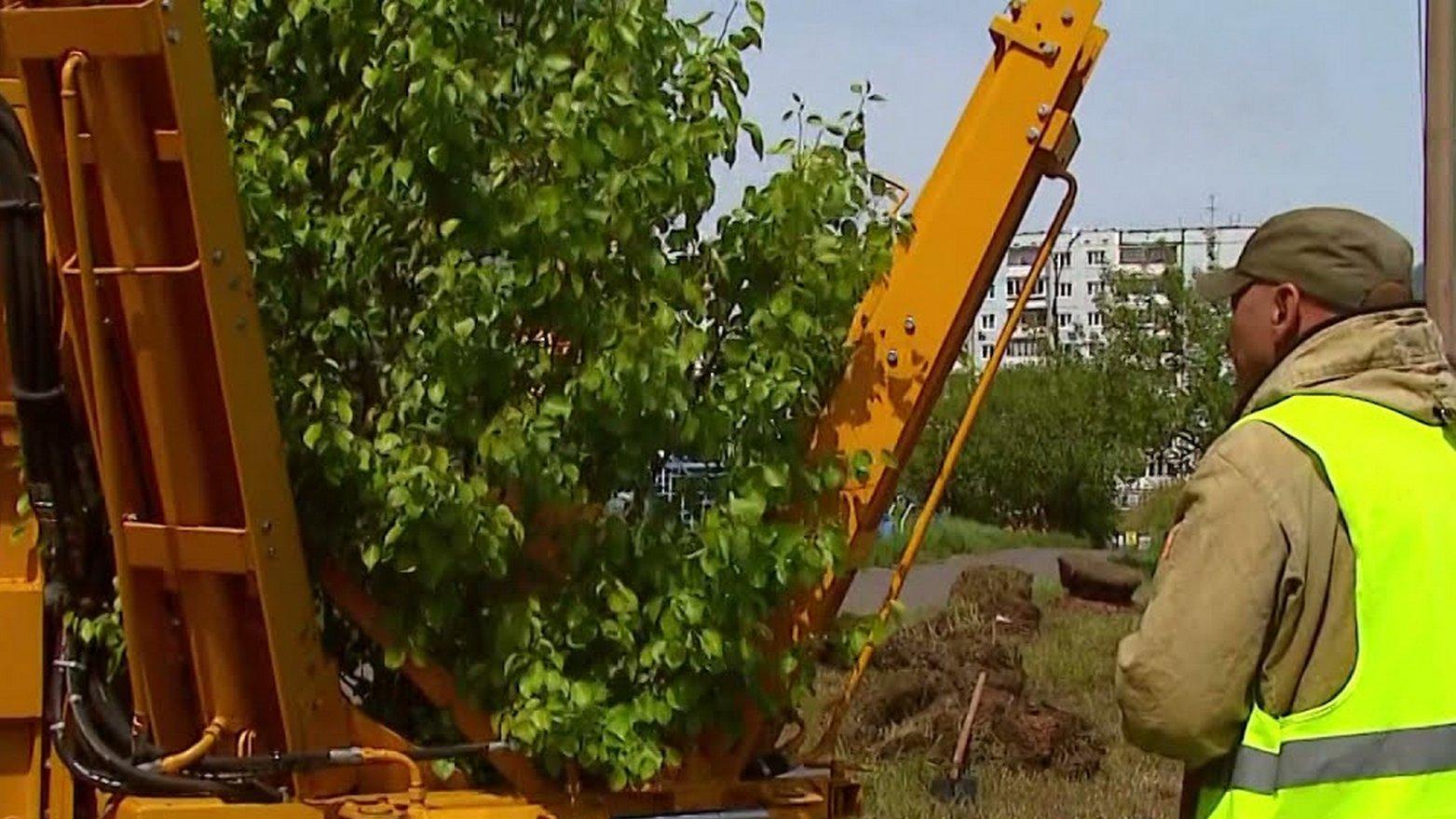 Экология в большом городе (ekologija-v-bolshom-gorode) Познавательное